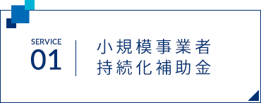 SERVICE01 小規模事業者持続化補助金